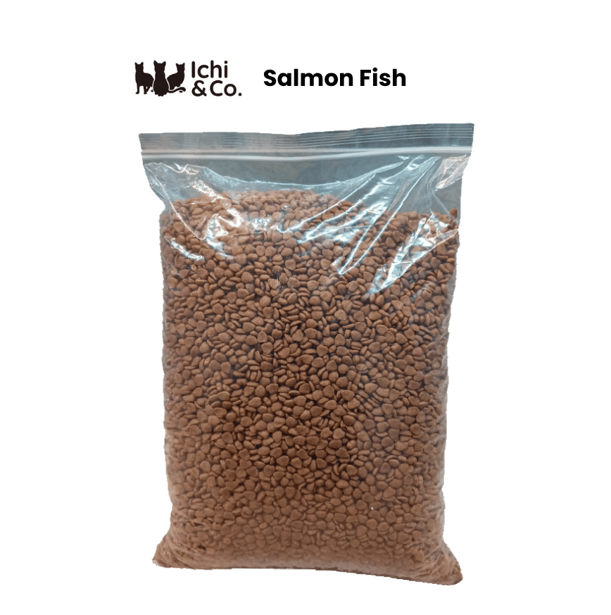 Repack Salmon Fish Cat Food - Image 3