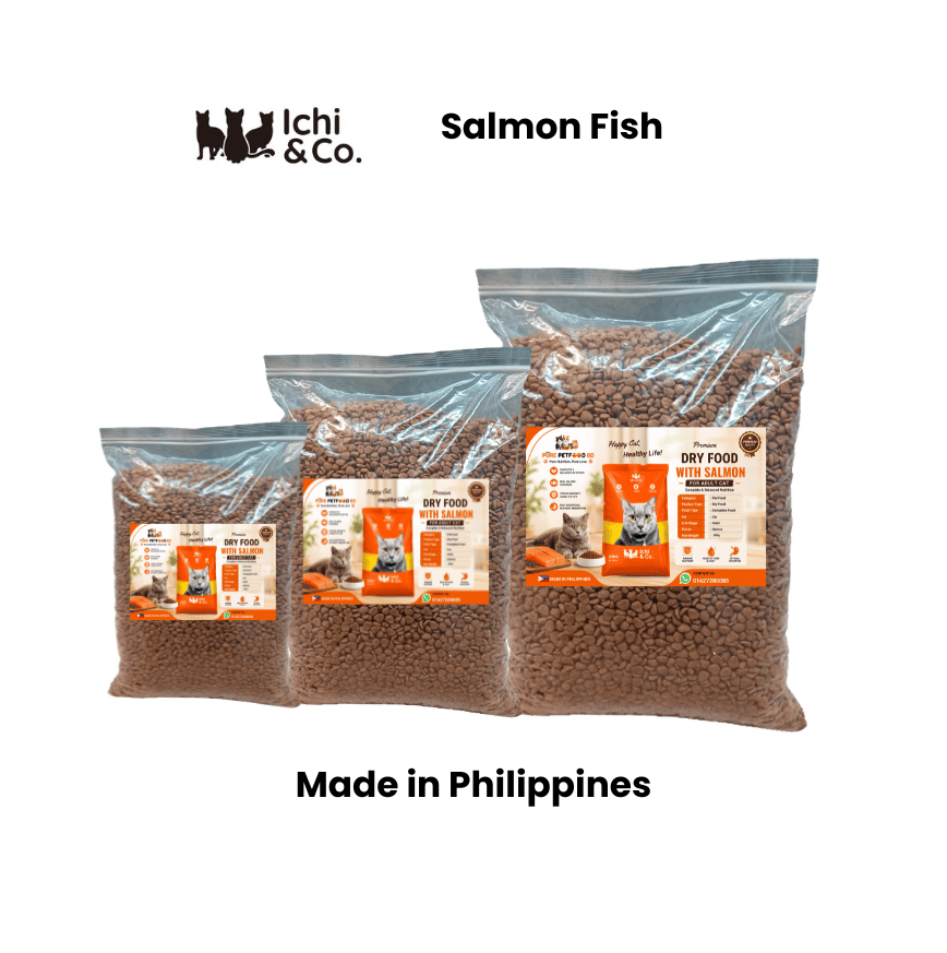 Salmon Fish Cat Food