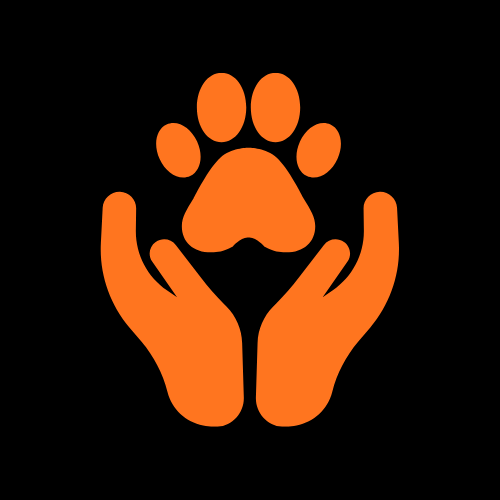 Cat Care & Health