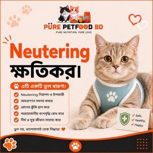 Neutering ক্ষতিকর—এই ধারণাটা কি সত্যি?
