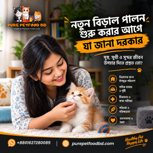 নতুন বিড়াল পালন শুরু করার আগে যা জানা দরকার
